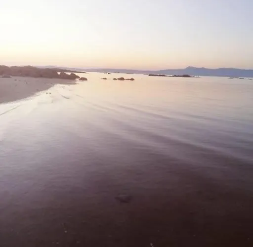 Conroibo Daire O Grove